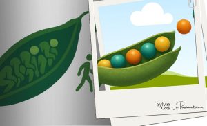 Quelle vision as-tu pour ton organisation